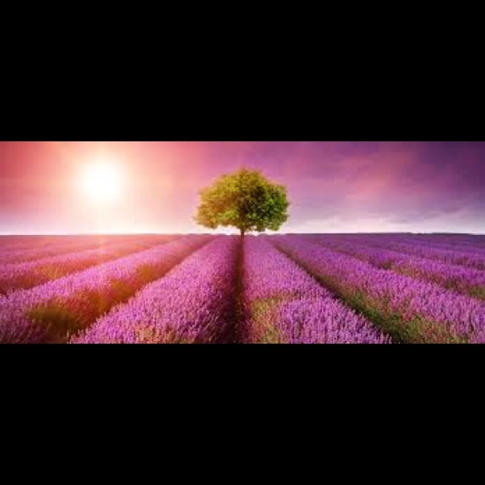 Meet your Posher, Jaime